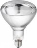 Philips | IR lamp R bollamp/reflectorlamp | Grote fitting E27 | 250W online kopen